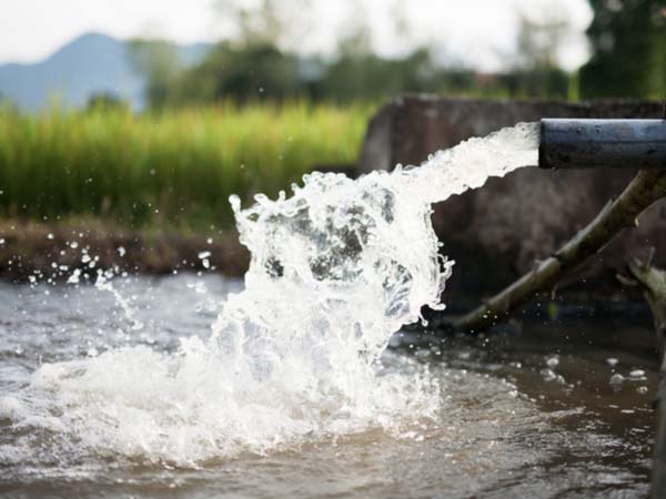 water transfer pumps - Water Pumps Now Australia