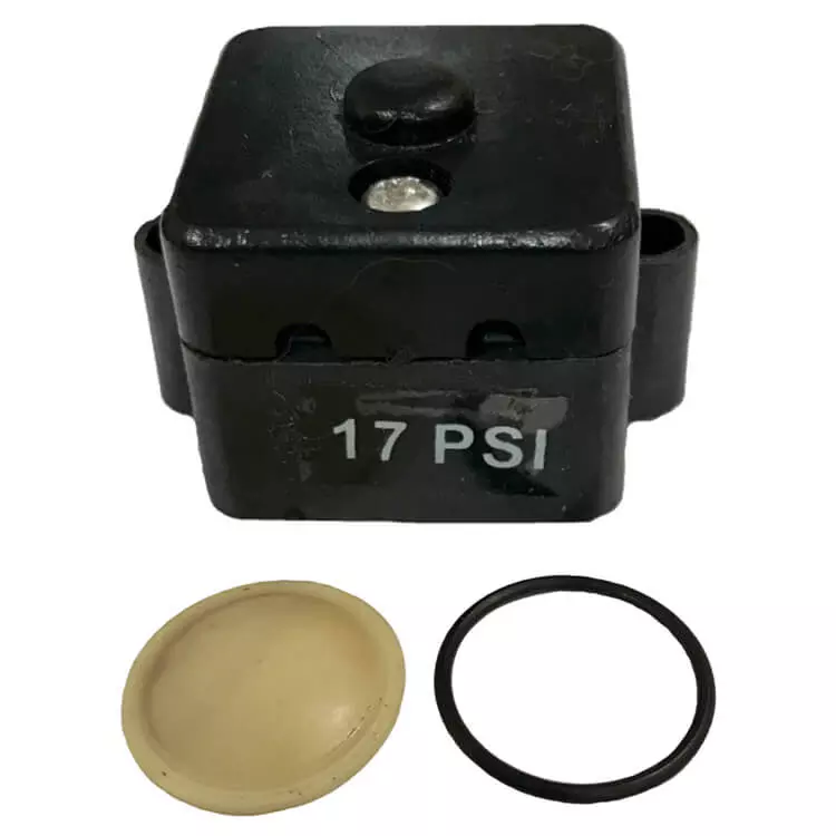 Escaping Outdoors 12v FL diaphragm water pump 17 PSI pressure switch + seal kit