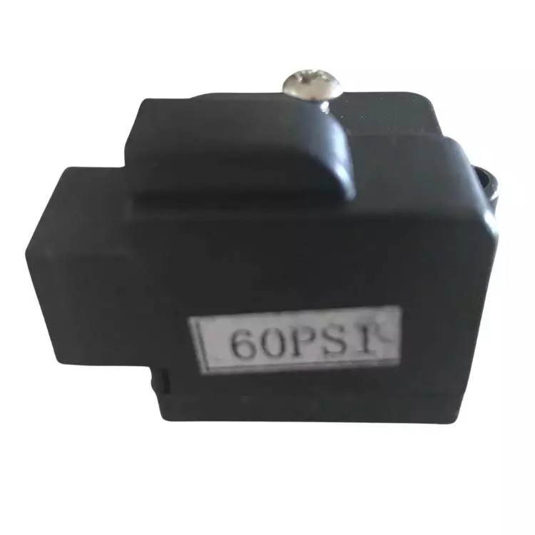 Escaping Outdoors 12v pump 60 psi type 3 pressure switch
