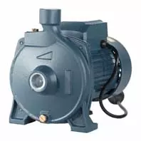 Escaping Outdoors CPM158 centrifugal pressure pump transfer pump
