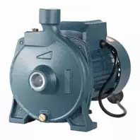 Escaping Outdoors CPM180 centrifugal water pump