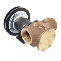 Jabsco J50-148 2 inch electric clutch pump