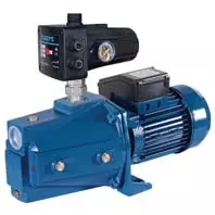 Reefe RSWE145-2.PC shallow well pump with pressure controller.jpg