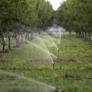 Farm irrigation and sprinkler pressure pumps - Water Pumps Now