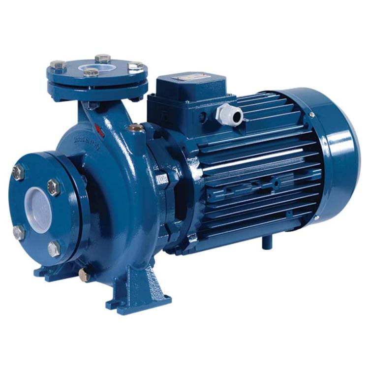 Reefe ESC32-160A end suction centrifugal transfer pump.jpg