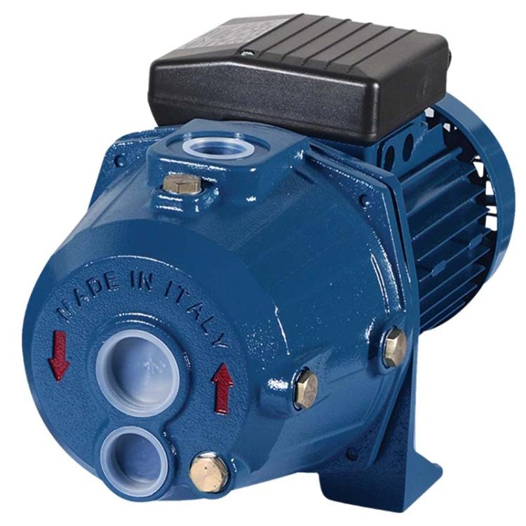 Reefe RDW300TE-2 deep well pump