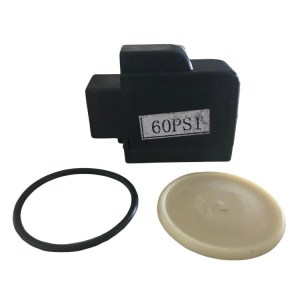 Escaping Outdoors 12v pump 60 psi type 3 pressure switch and seal kit