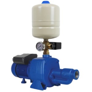 Reefe EJP200E shallow well pressure and irrigation pump with tank gauge and switch