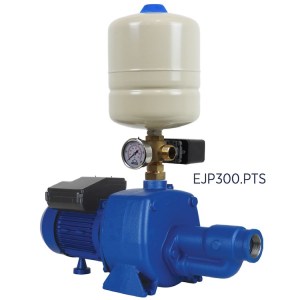 Reefe EJP300E heavy duty pressure pump with tank switch gauge and injector kit