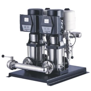 Reefe VMR series dual vertical pump set variable speed multistage water pumps - Water Pumps Now